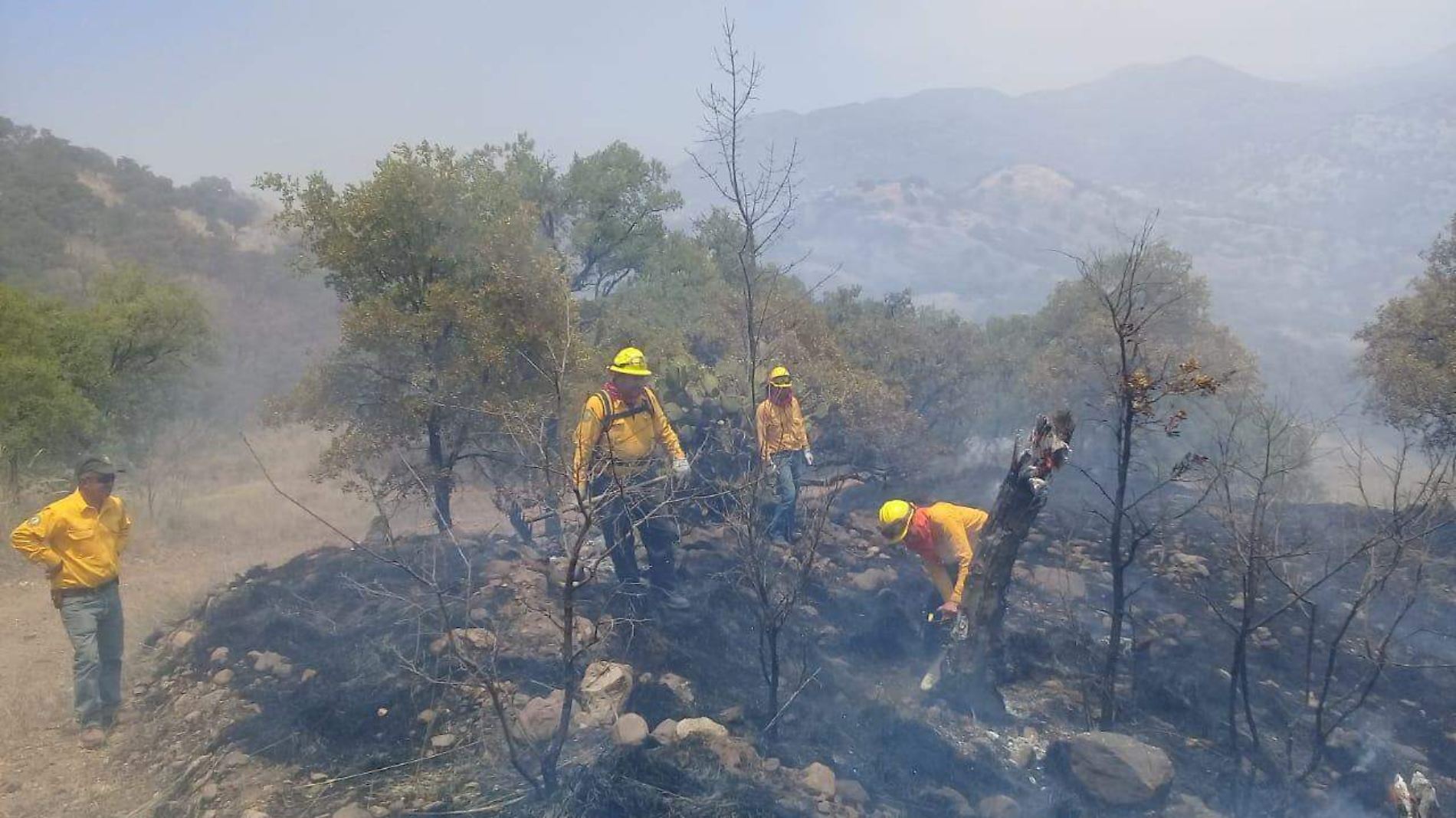 Incendio Forestal